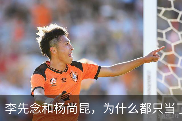 李先念和杨尚昆，为什么都只当了一届国家主席？